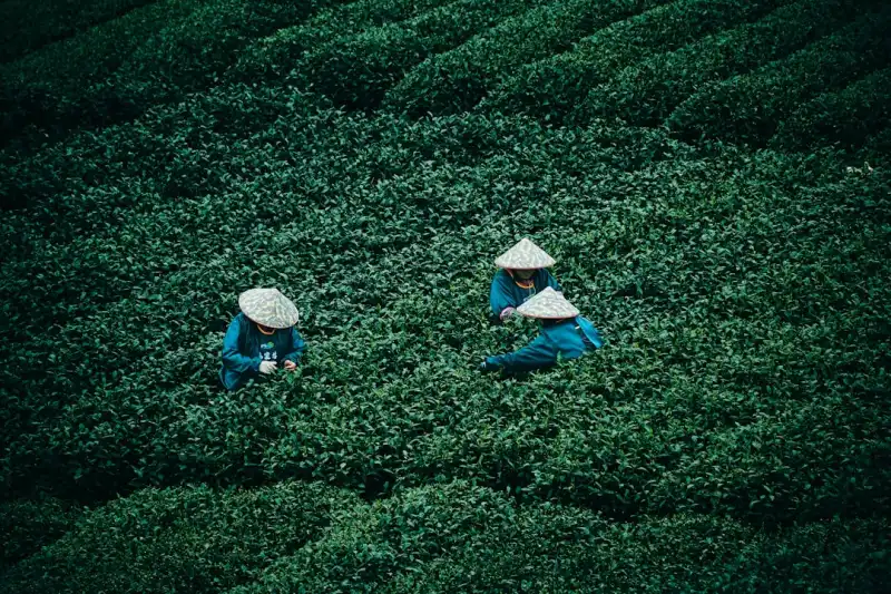 济南诺金厨房设备有限公司熟肉切片机技术特点与应用场景分析